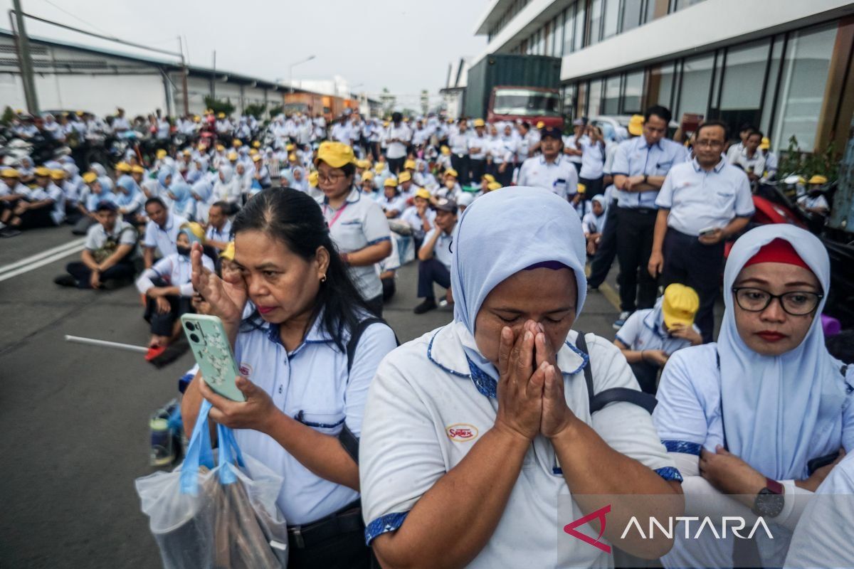 Layoffs in Indonesia: Understanding causes and government's efforts