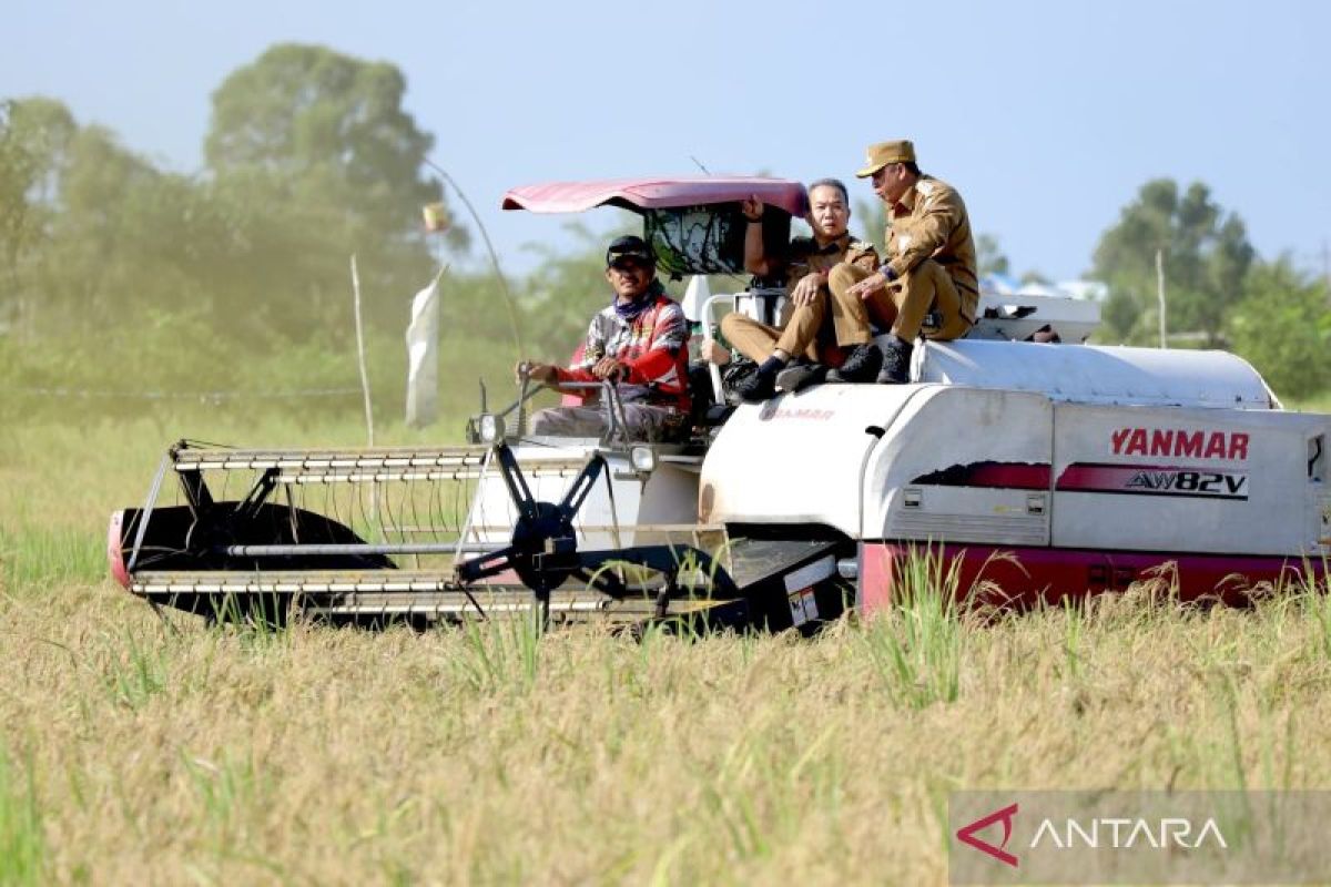 President asks South Kalimantan to increase unhulled rice production threefold