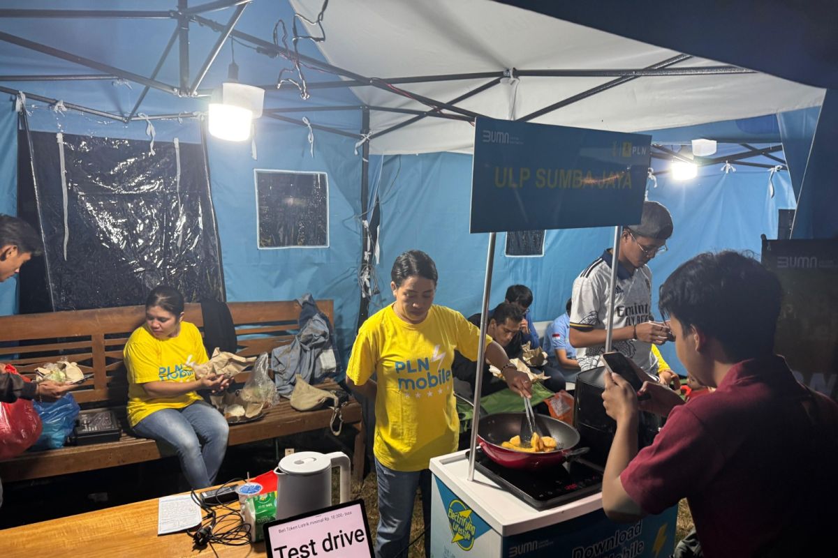 PLN hadirkan inovasi energi bersih di HUT ke-18 SBD