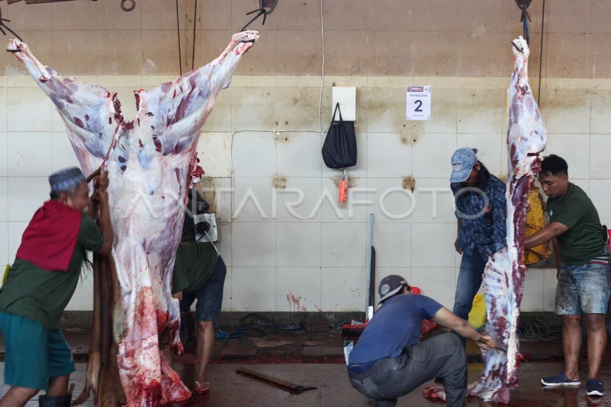 Bagaimana menikmati daging kurban tanpa kolesterol