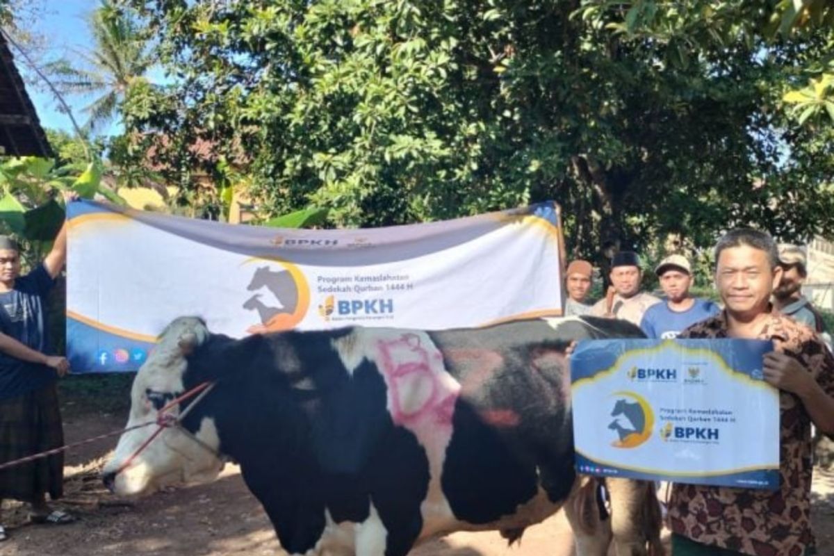 BPKH distributes hundreds of sacrificial animals for Eid al-Adha