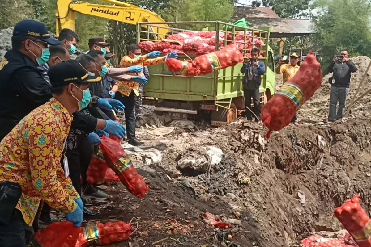 11,1 ton bawang bombai ilegal dimusnahkan