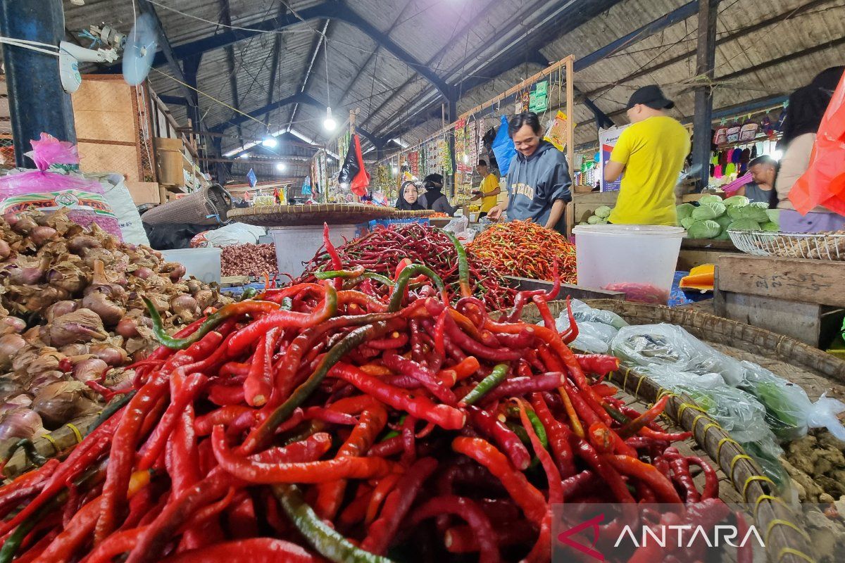 BPS: Papua Barat alami deflasi tahunan 0,67 persen pada Juni 2025