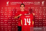 Federico Chiesa minta dilepas Liverpool ke Italia