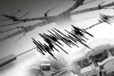 Aktivitas gempa di Jatim, Bali, Nusa Tenggara capai 799 kali