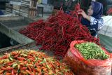 Pedagang menata cabai merah di lapak grosir Pasar Induk Gadang, Malang, Jawa Timur, Selasa (3/6/2025). Badan Pusat Statistik (BPS) Jawa Timur mencatat, pada Mei 2025 terjadi deflasi sebesar 0,34 persen secara bulanan (month-to-month) dengan komoditas penyumbang utama deflasi tersebut antara lain cabai rawit (0,21 persen), bawang merah (0,08 persen), dan cabai merah (0,03 persen). ANTARA Jatim/Ari Bowo Sucipto/mas.