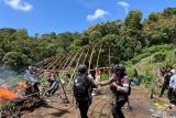 Bareskrim Polri bongkar keberadaan 25 hektare ladang ganja di Aceh