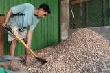 Harga pinang di Padang Pariaman naik jadi Rp15 ribu per kilogram pasca anjlok